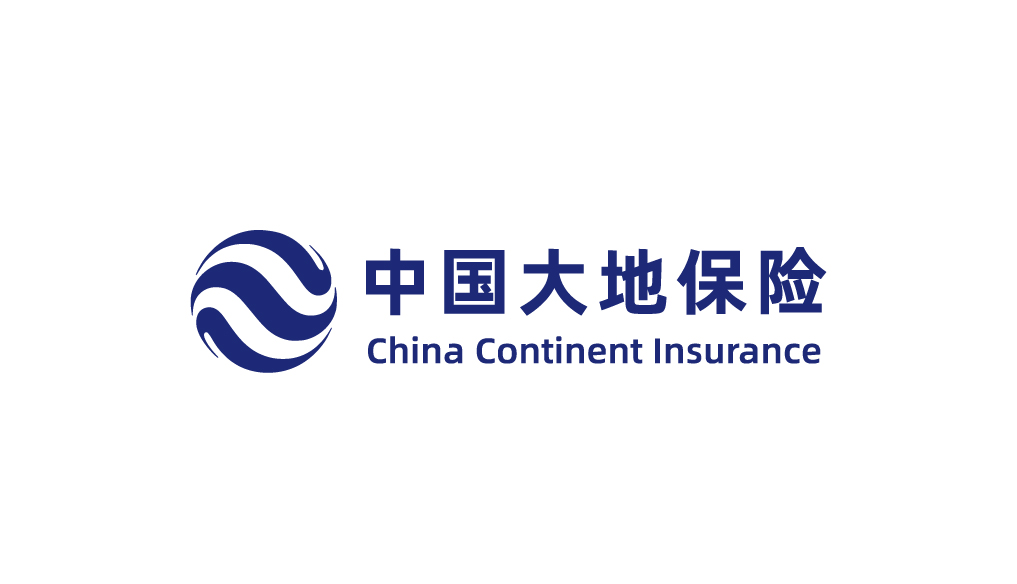 中国大地保险