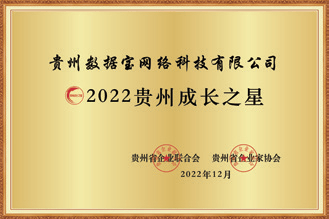 logo-11